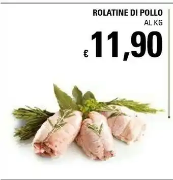 Basko Rolatine Di Pollo offerta