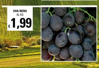 Basko Uva offerta