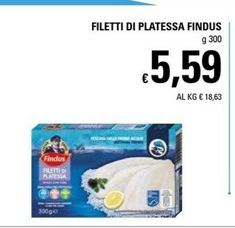 Basko Findus Filetti Di Platessa 300 G(ml) offerta