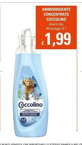 Basko Coccolino Ammorbidente Concentrato 1000ml offerta