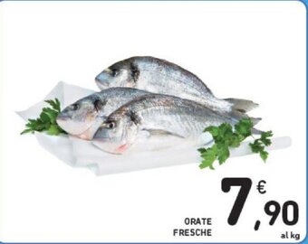 Conad Orate Fresche offerta