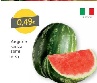DPiù Angurie Senza Semi offerta