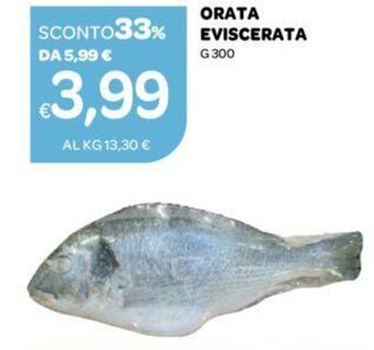 Ekom Orata Eviscerata g 300 offerta