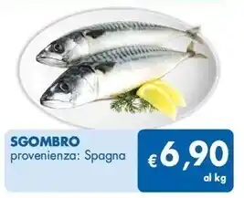 MD Discount Sgombro offerta