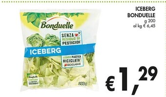 Coal Bonduelle iceberg offerta