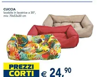 Cuccia