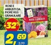 Risparmio Casa Rose e arbusti da fiore kg1 granulare offerta