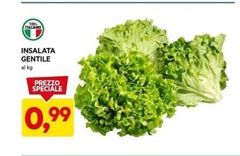 DPiù Insalata gentile offerta