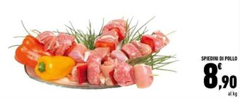 Conad Spiedini di Pollo offerta