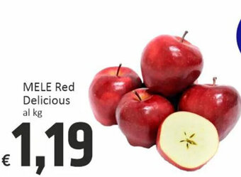 Paghi Poco Mele Red Delicious offerta