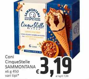 Paghi Poco Sammontana Coni Cinque Stelle x6 450 g offerta