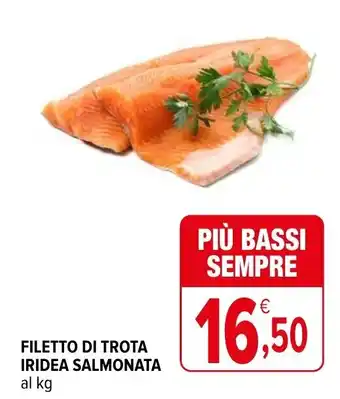 Filetto di Trota Iridea Salmonata