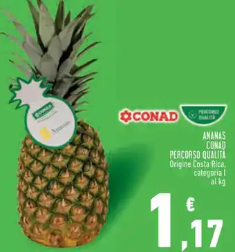 Conad City Conad Percorso Qualità Ananas offerta