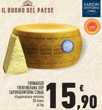 Conad City Conad Sapori&Dintorni Formaggio Trentingrana Dop 20 mesi offerta