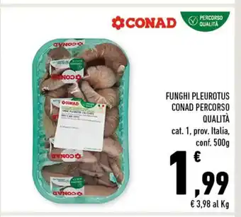 Conad Conad Funghi Pleurotus Percorso Qualità cat. 1. prov. Italia, conf. 500 g offerta