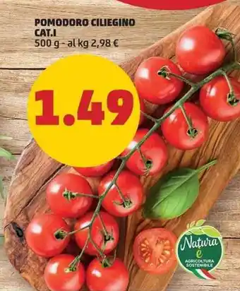 PENNY Pomodoro Ciliegino Cat.I 500 g offerta