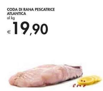 Bennet Coda Di Rana Pescatrice Atlantica offerta
