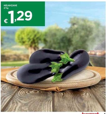 Bennet Melanzane offerta