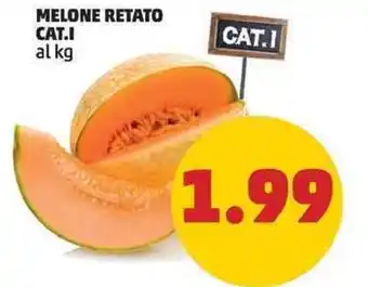 PENNY Melone Retato Cat.I offerta