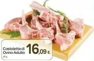 Costolette Di Ovino Adulto