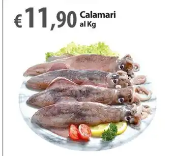 Extra Supermercati Calamari al Kg offerta