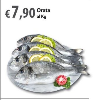 Orata al Kg