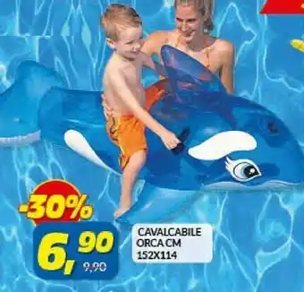 Risparmio Casa Cavalcabile Orca offerta