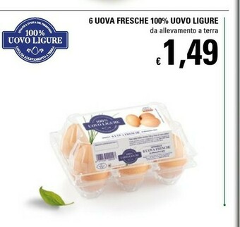 Basko 100% Uovo Ligure 6 Uova Fresche offerta