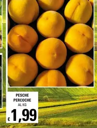 Pesche Percoche