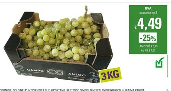 Basko Uva offerta