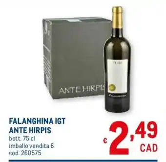 Metro Falanghina IGT Ante Hirpis 75 cl offerta