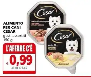 Il Gigante Cesar alimento per cani offerta