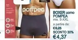Il Gigante Pompea boxer uomo offerta