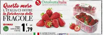 Conad Fragole cestino da 500 g offerta