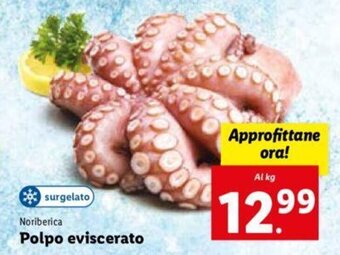 Noriberica Polpo eviscerato