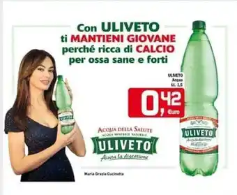 Uliveto acqua