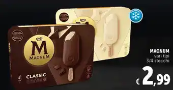Gourmet Déco Algida magnum vari tipi offerta