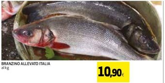 Coop Branzino Allevato Italia offerta