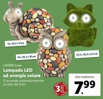Lidl Livarno Home Lampada LED ad energia solare offerta