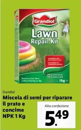 Lidl Grandiol Miscela di semi per riparare il prato e concime NPK 1 kg offerta