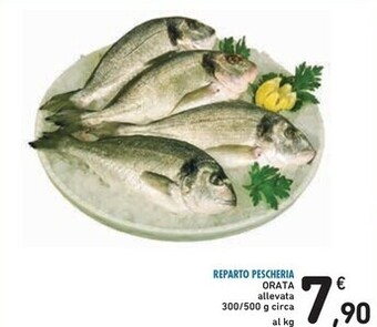 Spazio Conad Orata offerta