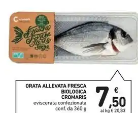 Spazio Conad Cromaris orata allevata fresca biologica offerta