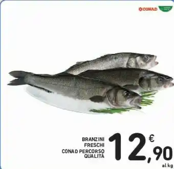 Conad Conad Branzini Freschi offerta