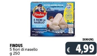 Gourmet Déco Findus 5 fiori di nasello offerta