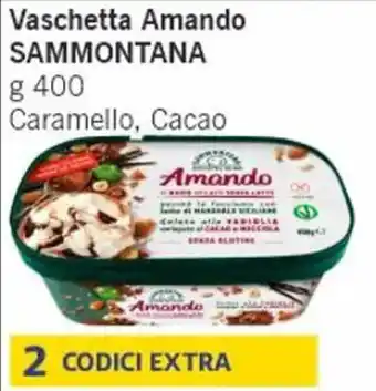Paghi Poco Vaschetta Amando SAMMONTANA g 400 offerta