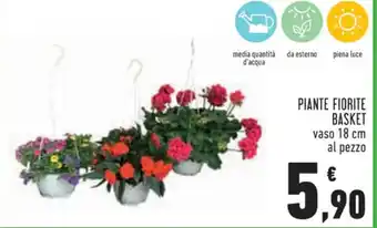 BASKET PIANTE FIORITE vaso 18 cm
