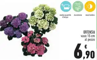 Conad ORTENSIA vaso 15 cm al pezzo offerta