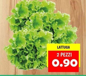 LATTUGA 2 PEZZI