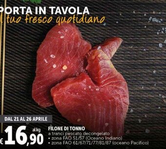Deco Supermercati FILONE DI TONNO offerta