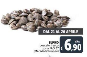 Deco Supermercati LUPINO pescato fresco offerta